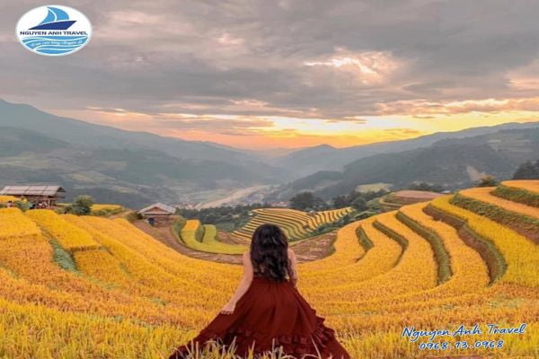 MÙ CANG CHẢI - ĐÈO KHAU PHẠ - TÚ LỆ 2 NGÀY 1 ĐÊM