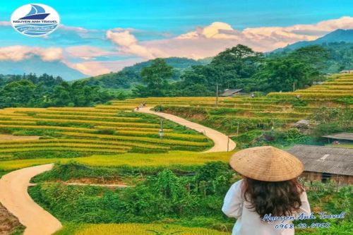 MÙ CANG CHẢI - ĐÈO KHAU PHẠ - TÚ LỆ 2 NGÀY 1 ĐÊM