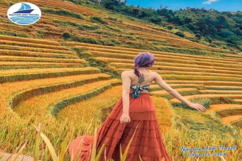 MÙ CANG CHẢI - ĐÈO KHAU PHẠ - TÚ LỆ 2 NGÀY 1 ĐÊM