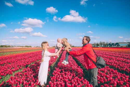 Du lịch Pháp - Bỉ - Hà Lan [Hội Hoa Tulip Keukenhof]