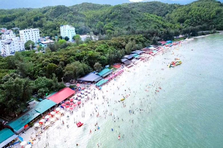 2432005_wtm_ad0e7ca548d2e0a945f3ca821bf2f25d